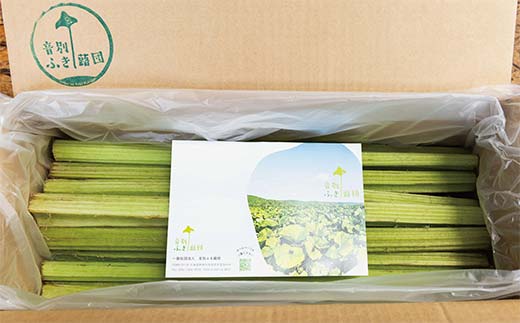 【6月中に順次発送】音蕗(おんぶき) 2kg 無農薬 蕗 フキ ふき 煮しめ 和食 おかず ご飯のお供 音別産生蕗 北海道産 北海道 F4F-4562
