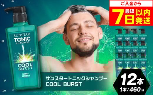 【最短7日以内発送】サンスタートニックシャンプー 460ml×12本＜シトラスハーブの香り＞ シャンプー リンス 詰め替え 大容量 まとめ買い メンズ 男性 シトラス 柑橘 メントール ノンシリコン人気 定番 おすすめ スカルプケア 頭皮クレンジング 皮脂洗浄 フケ かゆみ 防止 臭いケア 男性用 爽快感 クール ヘアケア 日用品 ストック 便利 時短 大阪府高槻市/サンスター[AOAD030]