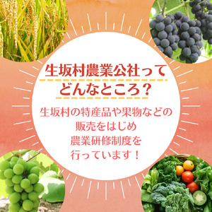 生坂村産　手作りジュースセット 果汁飲料 野菜飲料 ぶどうジュース ブドウ