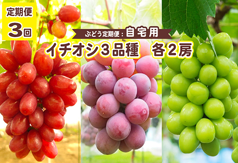 ＜令和6年夏発送・数量限定＞【ぶどう定期便・自宅用】イチオシ3品種　各2房