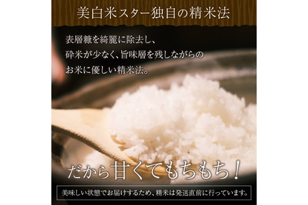 令和7年産 美白精米 丹後こしひかり 5kg 1等米