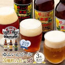 【ふるさと納税】【父の日】ゆふいんビール3種飲み比べセット＜3種各1本　中瓶(500ml)＞ | アルコール 酒 お酒 ビール ご当地 ゆふいんビール 飲み比べ セット おすすめ 人気 送料無料 ゆふいん 湯布院 由布院