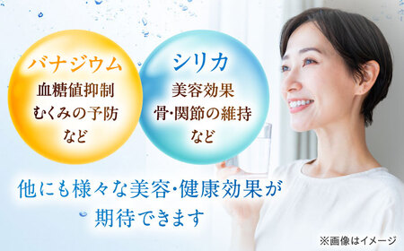 【全3回定期便】【2ヵ月に1回お届け】VanaSilica（バナシリカ）富士山のバナジウム＆シリカ 強炭酸水 500ml 24本 2箱（計48本）炭酸 強炭酸 炭酸水 大阪府高槻市/クリックル株式会社
