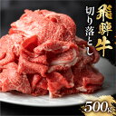 【ふるさと納税】飛騨牛 切り落とし 500g スライス 切落し 和牛 すき焼き すきやき 鍋 訳あり 訳アリ 不揃い 肉 お肉 にく 切り落とし 牛肉 おすすめ ワケアリ 駿河屋 岐阜県 白川村 10000円 [S768]