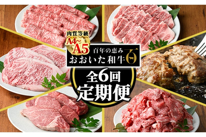 ＜定期便・全6回(連続)＞おおいた和牛 定期便 (総量4.33kg) 国産 牛肉 肉 霜降り A4 A5 黒毛和牛 ステーキ すき焼き しゃぶしゃぶ 焼肉 和牛 豊後牛 ブランド牛 冷凍 ハンバーグ【HE12】【(株)吉野】