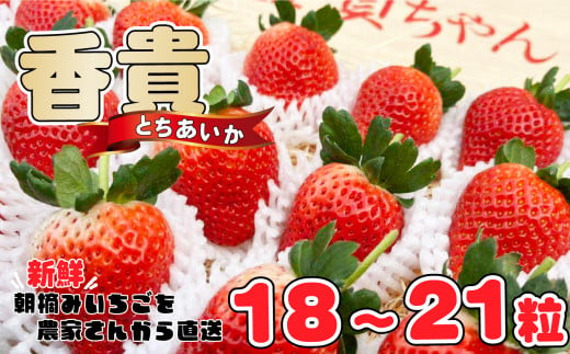 
とちあいか 「香貴」 18～21粒
