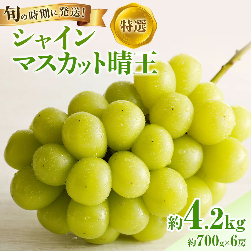 【ふるさと納税】【2026年先行受付】 シャインマスカット 晴王 特選 大房 約700g 6房 化粧箱入 岡山県産 ぶどう 葡萄 ブドウ ギフト 御礼 プレゼント 御礼 御祝 御供 果物 くだもの フルーツ　お届け：2026年8月中旬～2026年11月上旬