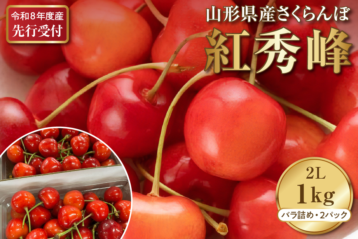 【2026年産先行予約】さくらんぼ紅秀峰 2L 1kg以上(500gバラ詰め×2パック)山形県河北町産【晴天畑】 ka073-008