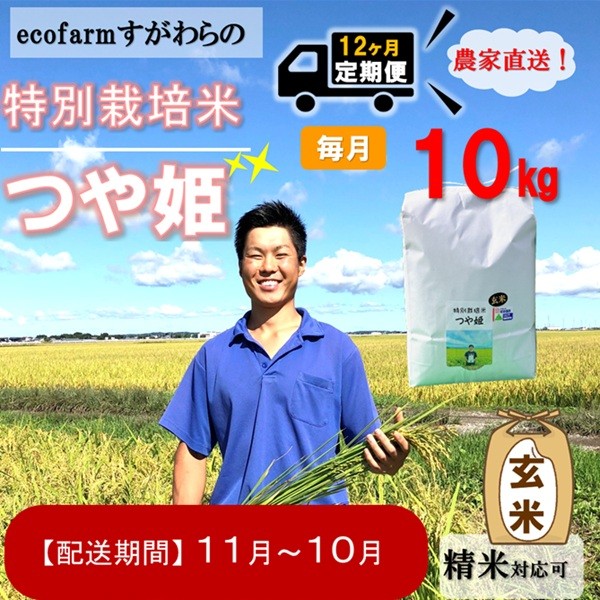 
                  令和8年11月新米スタート【定期便12回】ecofarmすがわら特別栽培米つや姫10kg×12回
                