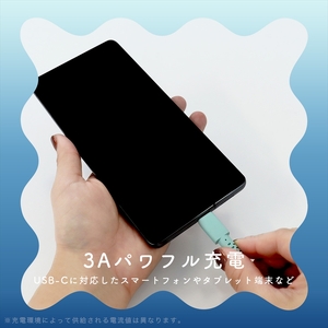 グラデーションケーブル USB-A to USB-C iPhone16e 16 15 Android各種 急速充電 データ転送対応 ケーブルバンド付 1m 2年保証 (MOT-SCBACG100-FN