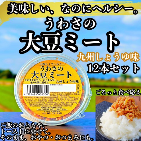 大豆 加工品 うわさの大豆ミート 九州しょうゆ味 80g×12本 セット 健康 ヘルシー