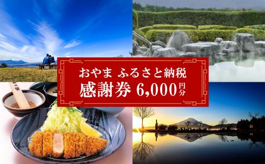 おやま ふるさと納税 感謝券 6,000円分（ 1,000円券 × 6枚 ）│ 感謝券 チケット 利用券 買い物 食事 宿泊