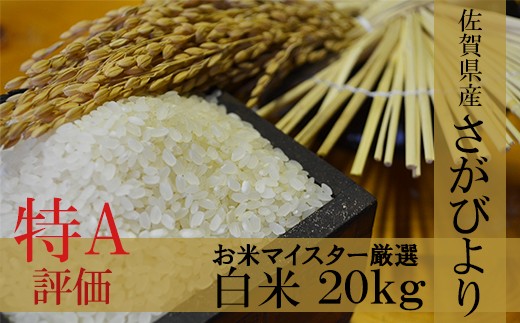 
                  佐賀県産 厳選 さがびより 白米 20kg（10kg×2袋） D-11 新米 令和8年産 令和7年産
                
