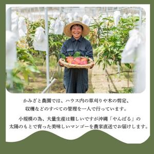 【2025年6月～7月頃の発送】贈答用のアップルマンゴー2kg【配送不可地域：離島】【1601772】