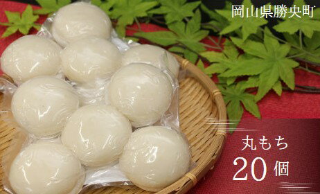 【ふるさと納税】 丸もち 500g(10個入)×2袋 ＜12月から2月下旬発送＞ _A36