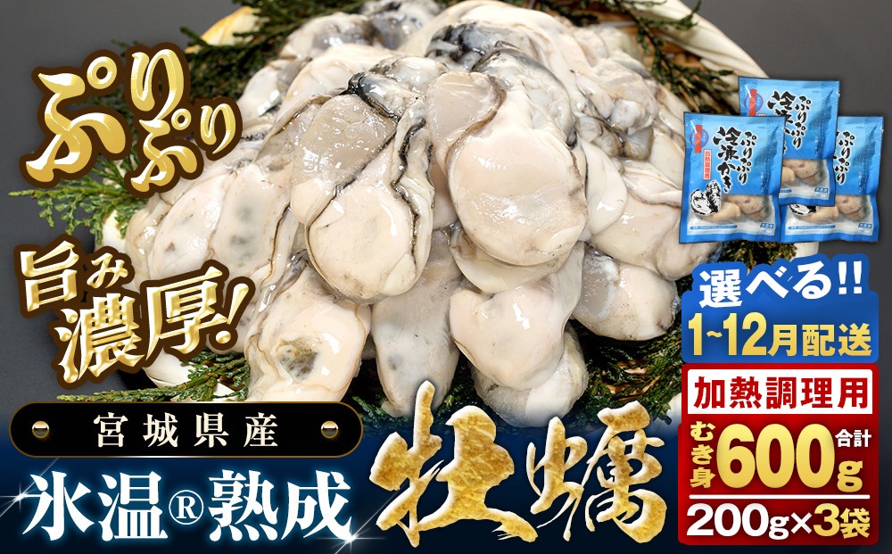 
                  《 配送月 が 選べる 》 【 加熱用 】 氷温熟成かき 3袋 （ 1袋 200g ） むき身 600g 小分け むき カキ 冷凍かき 加熱用 加熱 宮城 小分け 冷凍 バラバラ冷凍 冷凍カキ かき 牡蠣 海鮮 魚介 貝類 海の幸 BBQ 家庭用 まるたか水産 宮城県 石巻市
                