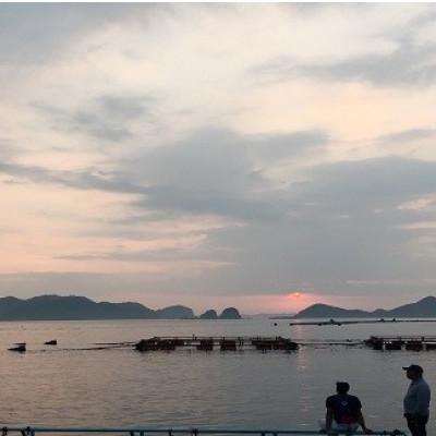 ふるさと納税 延岡市 延岡市島浦島育ちの厳選鮮魚セット(シマアジ・イサキ・マダイ・メジナ) |  | 01