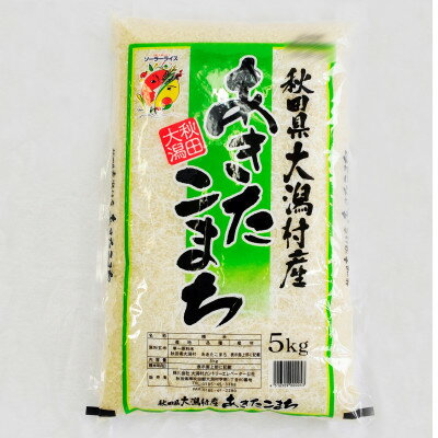 【ふるさと納税】あきたこまち精米5kg【配送不可地域：離島・沖縄県】【1595355】