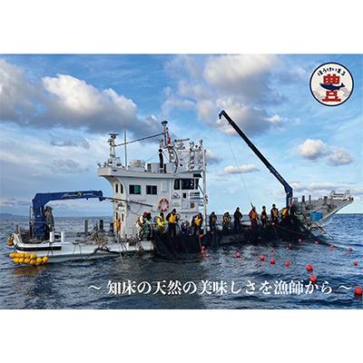 ふるさと納税 斜里町 北海道知床斜里産　船上活〆　ほっけスティック、さくらますスティック(各200g×2) |  | 02