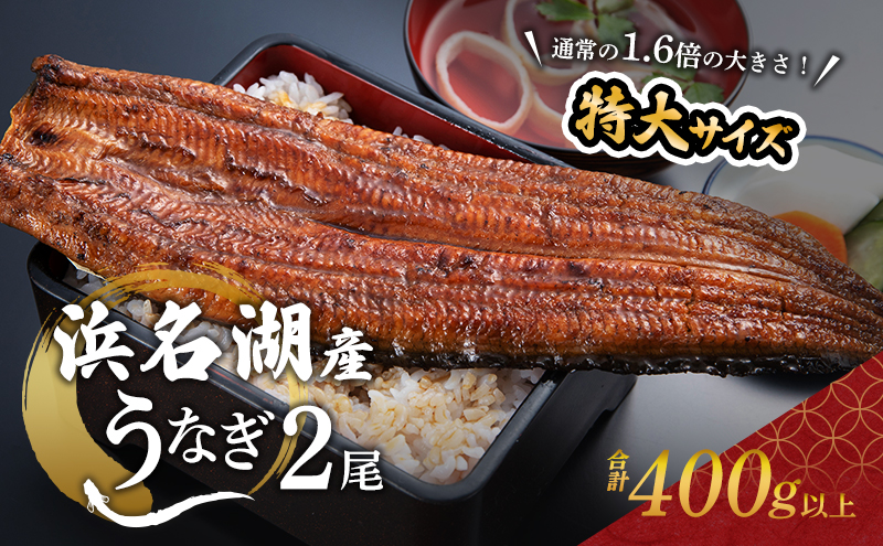 国産 うなぎ 超特大 長蒲焼き 2尾 400g以上 国産うなぎ