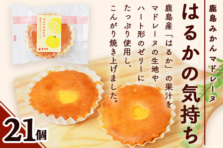 【赤門堂の焼菓子】はるかのきもち 21個 マドレーヌ 焼き菓子 焼菓子 お菓子 郷土菓子 ご当地スイーツ 焼き菓子 焼菓子 贈物 プレゼント ギフト 贈り物 お土産 おやつ B-641