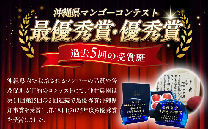 【家庭用】仲村農園の完熟アップルマンゴー 1kg マンゴー 沖縄 果物 フルーツ ギフト 沖縄市 / 仲村農園 [BCCU004]