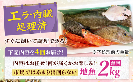 【全4回定期便】旬の地魚セット2kg（エラ/内臓処理済） 五島市/五島FF[PBJ002]鮮魚 定期便