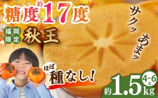 【2025年10月中旬より順次発送】福岡産ブランド 秋王柿 約1.5kg(4-6玉) 吉富町/南国フルーツ株式会社 [BGAG015]