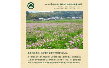 奈良・橿原　農薬や化学肥料不使用【令和7年産】ヒノヒカリ【精白米】約5kg（5kg×1袋）