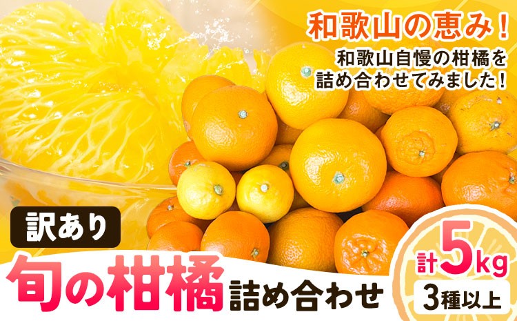 
                  訳あり 旬の柑橘 詰め合わせ 3種以上 サイズ混合 5kg エイワ商店《2月中旬-3月下旬頃出荷》和歌山県 日高川町 送料無料 柑橘類 フルーツ 果物 柑橘 みかん 伊予柑 はるみ 八朔 不知火 温州みかん ポンカン
                
