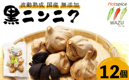 波動熟成 黒にんにく 12個セット / にんにく 国産 健康 綾部市 / WAZUファーム［BSAF008］