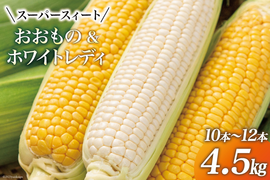 
                  【期間限定発送】 とうもろこし スイートコーン おおもの(黄)・ホワイトレディ(白) 4.5kg (10本～12本) [黒木ふぁーむ 宮崎県 日向市 452060141] トウモロコシ 糖度
                
