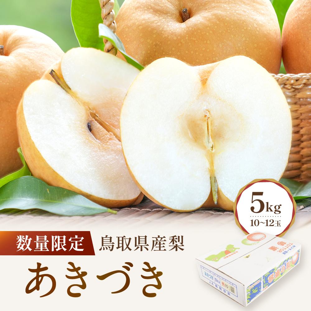 【ふるさと納税】数量限定 鳥取県産梨 あきづき 5kg（10～12玉） | フルーツ 果物 くだもの 食品 人気 おすすめ 送料無料