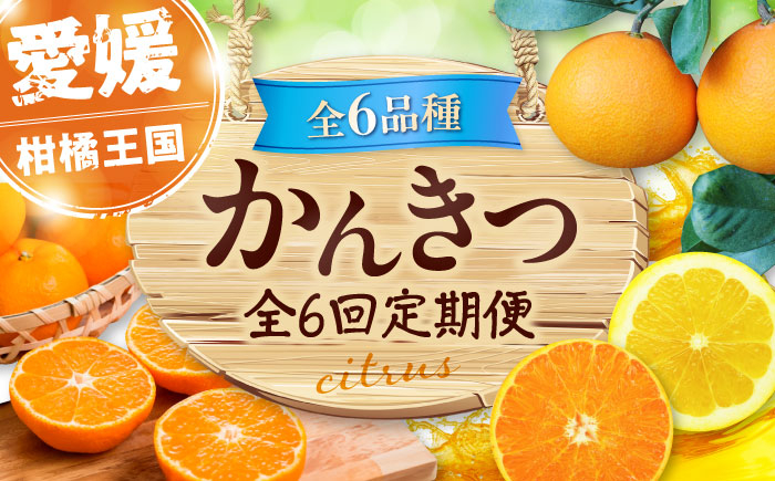 
            【全6回定期便】 【2025年11月以降毎月発送】えひめかんきつ定期便 愛媛県大洲市/愛媛県観光物産協会[AGDN001] くだもの 果物 フルーツ みかん  紅まどんな 伊予柑 デコポン せとか 河内晩柑 大洲市産 産地直送 おすすめ 人気 お取り寄せ 送料無料 贈答 ギフト
          
