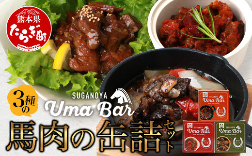 
【UmaBar】 馬肉 の 缶詰 3種 9個セット ＜ アヒージョ / トマト煮 / 焼肉風 ＞ アウトドア 非常食 長期保存 簡単 お手軽 熊本県 031-0501
