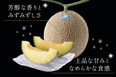 【先行予約】京たんごメロン 琴引メロン 3Lサイズ 1玉（2026年6月下旬～発送）