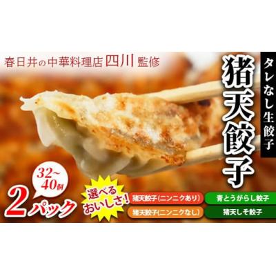 ふるさと納税 春日井市 【猪天餃子(ニンニクなし)】春日井の中華料理店四川監修タレなし生餃子「猪天餃子」