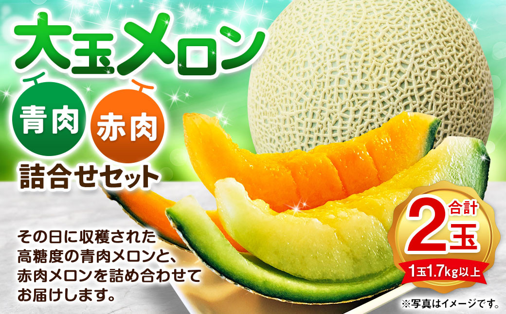 
            大玉 メロン 青肉 赤肉 各1玉 詰合せセット （1玉 1.7kg以上） 果物 フルーツ めろん 2玉 食べ比べ 北海道 浦臼町 【2025年7月上旬～2025年8月上旬迄発送予定】
          