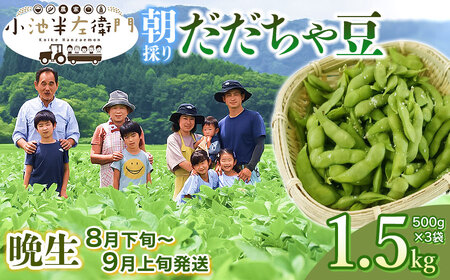 【令和7年産 先行予約】朝採りだだちゃ豆 【晩生】1.5kg (500g×3袋) 枝豆　小池半左衛門