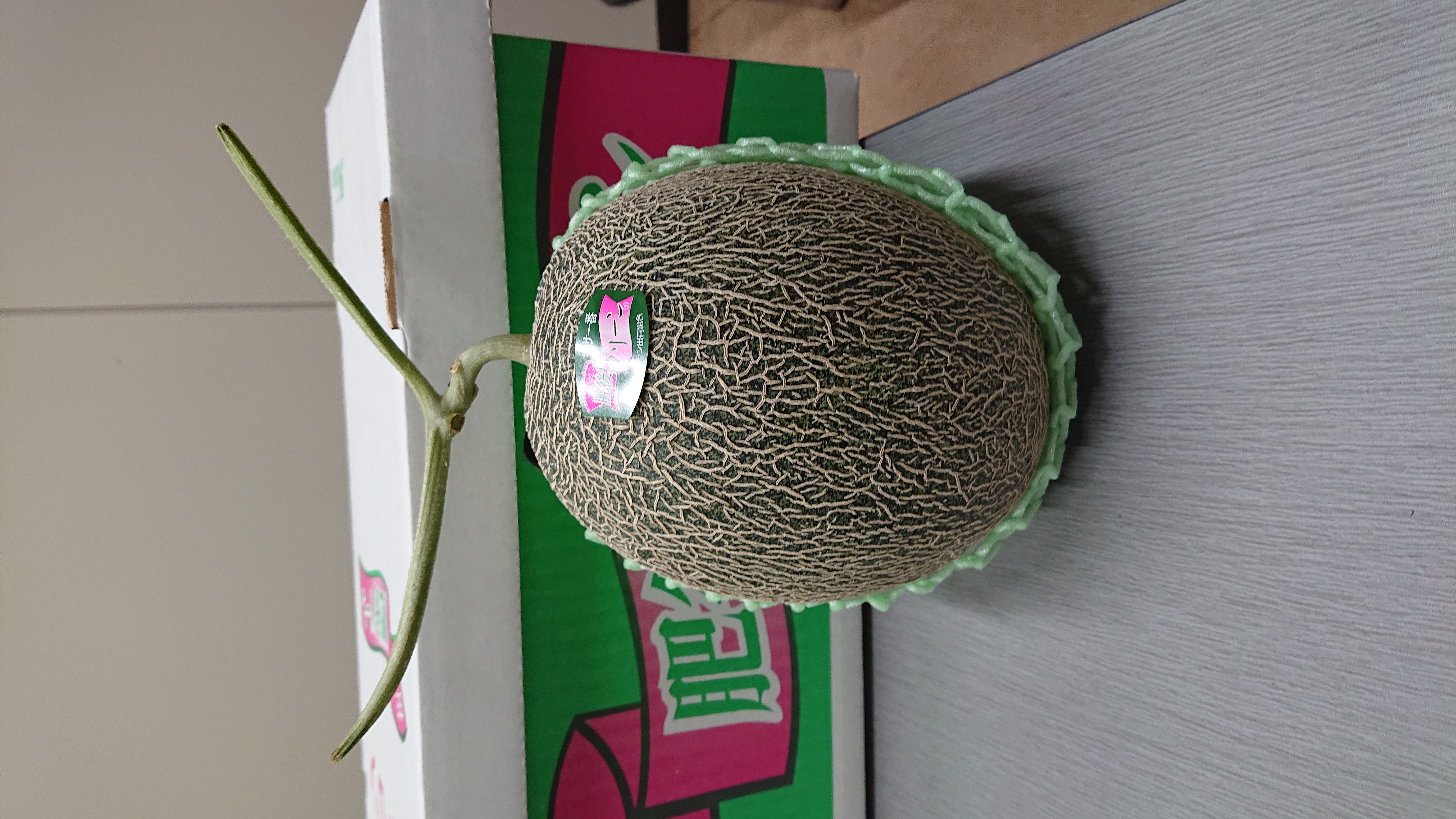 【先行予約】 宇城市産 肥後グリーン 2玉 フレッシュダイレクト【2026年5月中旬〜7月下旬頃順次発送予定】