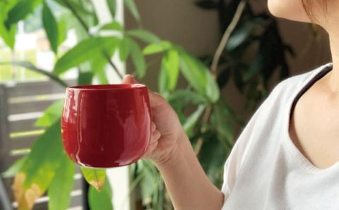 【波佐見焼】マグカップ 2色セット （鉄赤・黒伊羅保）【ROXY】 [SB115]