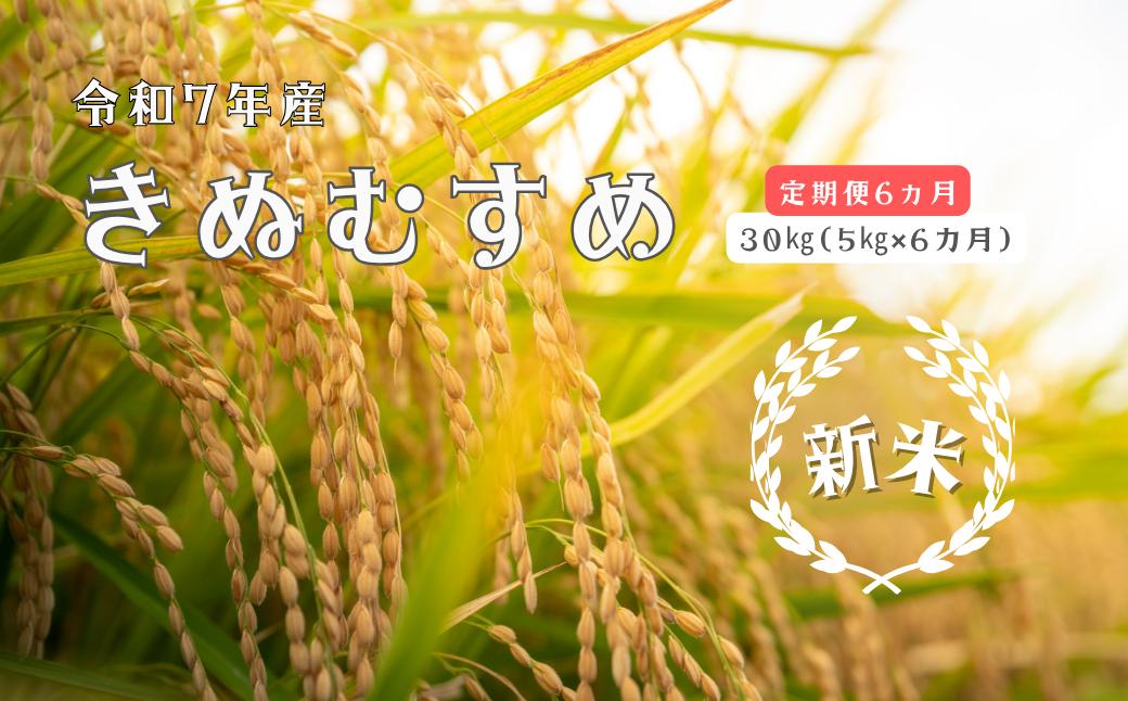
            150262【令和7年産／お米定期便／6ヵ月】しまね川本 きぬむすめ 5kg (計30kg）
          