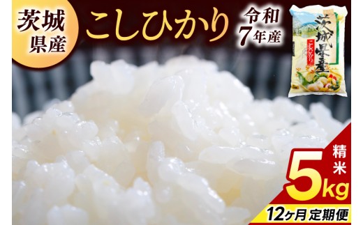★12ヶ月定期便★ 精米 コシヒカリ 5kg (総計 60kg)【令和7年産】米 精米 白米 こしひかり 定期便 茨城県 鹿嶋市 国産 送料無料 お米 ごはん おにぎり 冷めても 美味しい 粘り うまみ 厳選 出荷直前精米 ツヤ かおり うまい（KY-22）