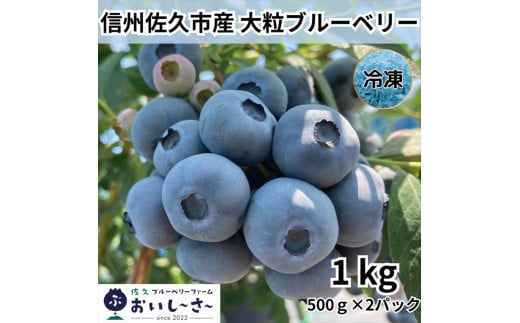 長野県産 冷凍ブルーベリー 約1kg （500g×2袋） ＜2025年7～12月出荷／沖縄・離島は配送不可＞ 信州 フルーツ 果物 完熟 大粒 甘い ブルーベリー 数量限定 旬彩