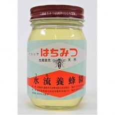 【2024年9月下旬発送】【北海道せたな町産】天然アカシアはちみつ500g