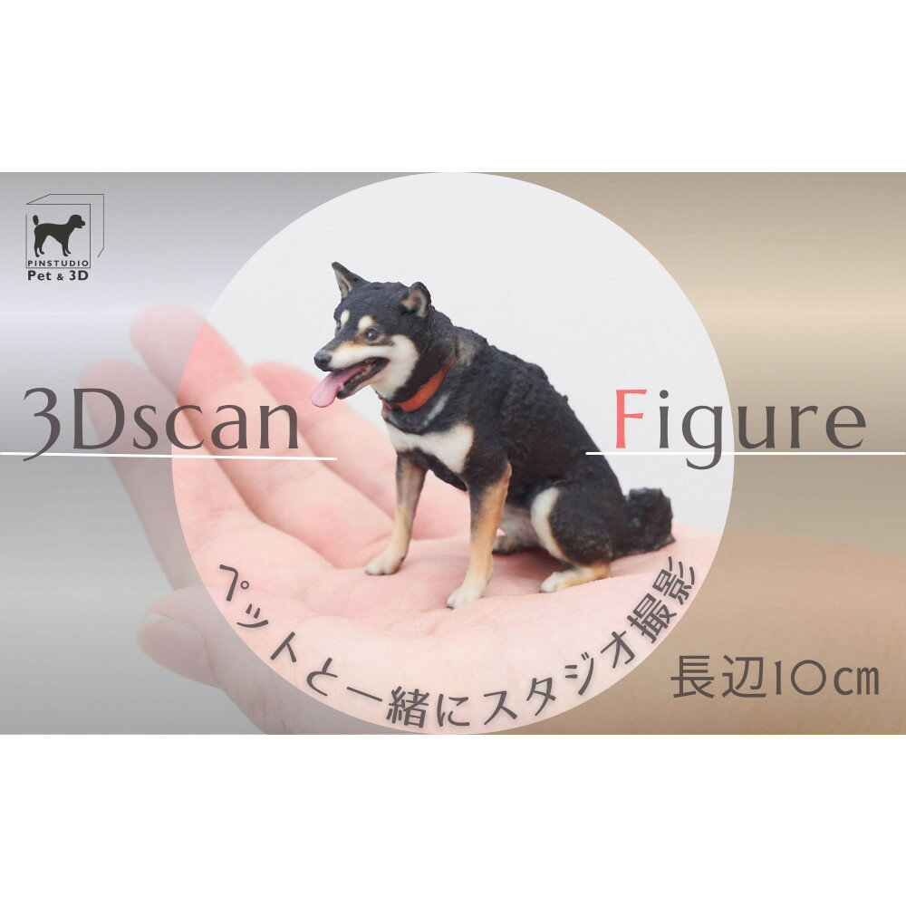 【ふるさと納税】ペットの3Dスキャンと3Dフルカラープリントによる造形（フィギュア）長辺10cm | ペット 3Dスキャン 犬 猫 記念 プレゼント ギフト オーダーメイド 思い出 人気 おすすめ 送料無料 東京 中野区