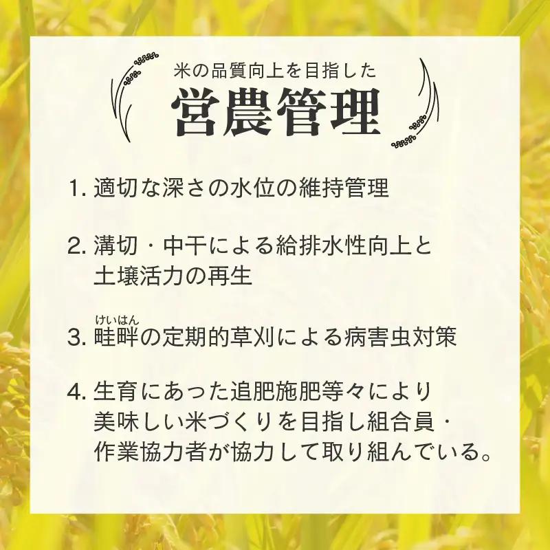 【先行予約】【令和8年産 新米】【一等米】エコ栽培コシヒカリ 白米5kg ／ 鮮度抜群 福井県産 こしひかり ご飯 新鮮 白米 ※2026年10月上旬以降順次発送 [aw063-a030]