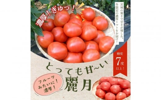 【糖度7度以上！】甘い★麗月トマト4ｋｇ