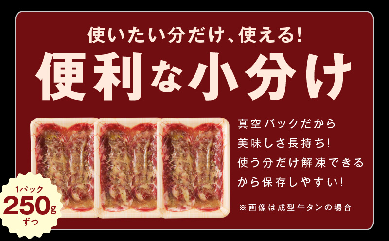 ねぎ塩 牛タン 食べ比べセット 合計 1kg（牛タン 500g／成型牛たん 500g）【焼肉用 焼くだけ 小分け BBQ やきにく】 010B1769