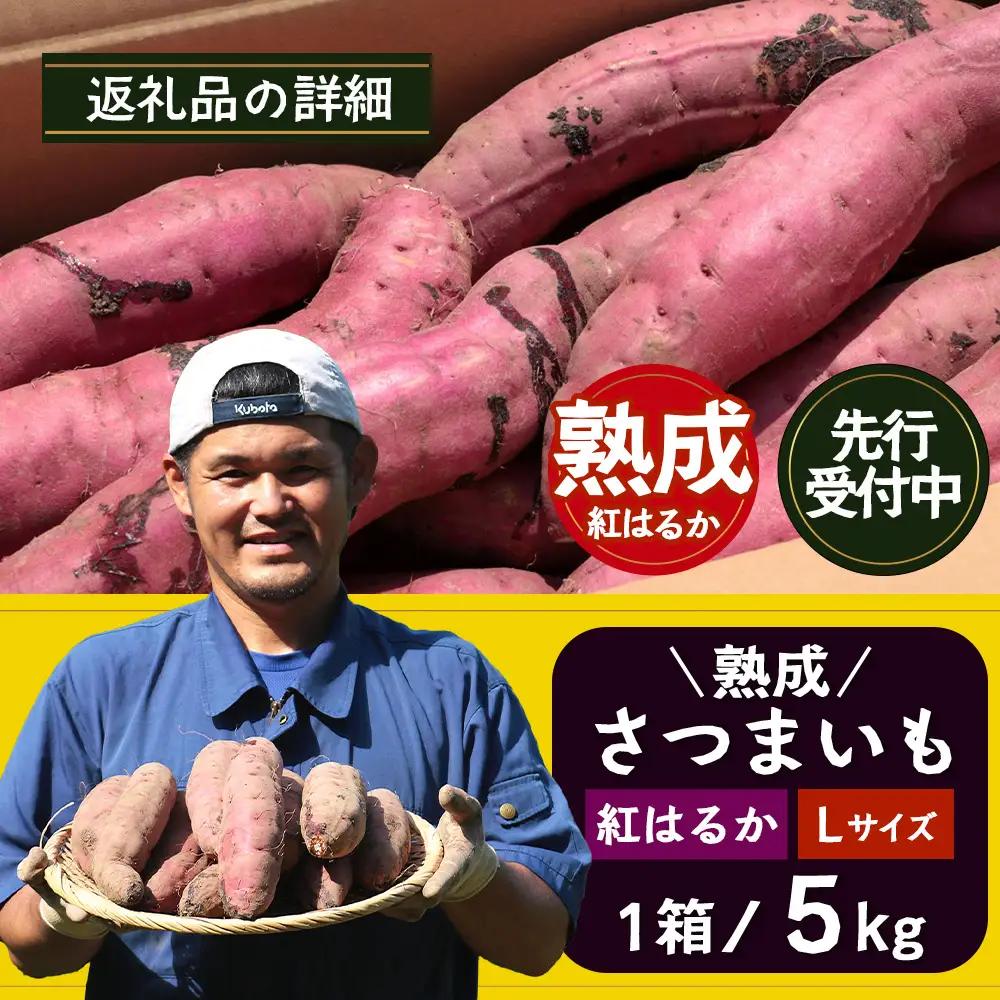 【先行予約：11月下旬配送～】熟成 さつまいも 紅はるか 5kg Lサイズ (おすそ分け袋／美味しい焼き芋の焼き方 説明書付き） FR-216 ｜ 秋の味覚 2026年秋収穫 貯蔵 長期熟成 糖化 さ